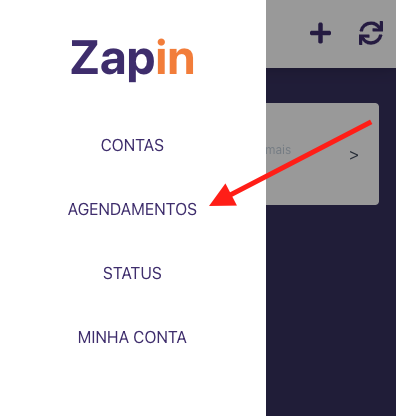 Acessando a tela de agendamentos do Zapin